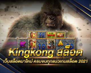 Kingkong สล็อต เว็บสล็อตระบบใหม่ ที่เล่นง่าย เดิมพันสนุก ฝากถอนไม่มีขึ้นต่ำ ไม่ผ่านเอเย่นต์หรือคนกลาง สมัครสมาชิกและเดิมพันผ่านหน้าเว็บโยตรง